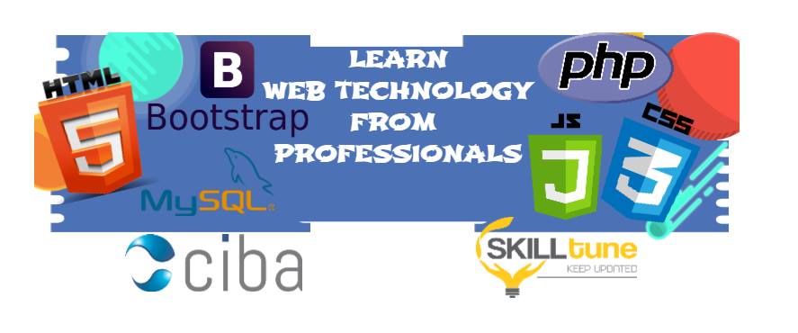 ciba-WEB TECHNOLOGY